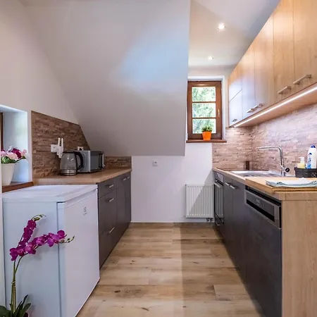 Villa Rudolf, Svoboda Nad Upou *