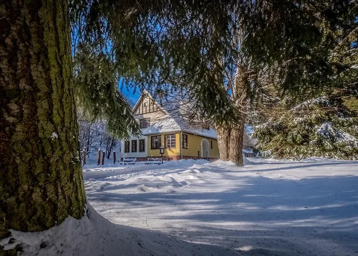 Villa With Pool, Sauna, Pergola, Park, And Playground Svoboda nad Upou